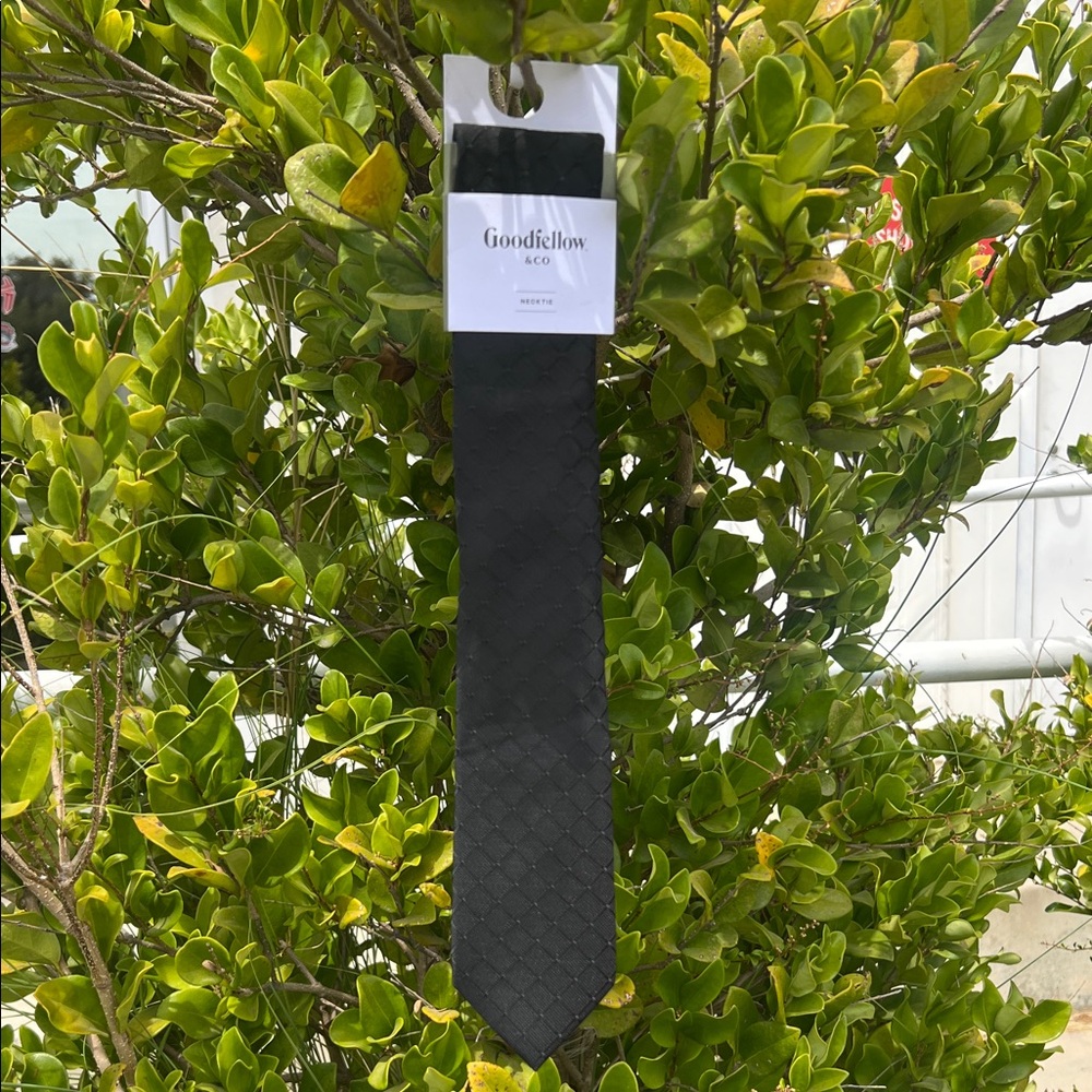 Goodfellow & Co Men's Textured Black Tie